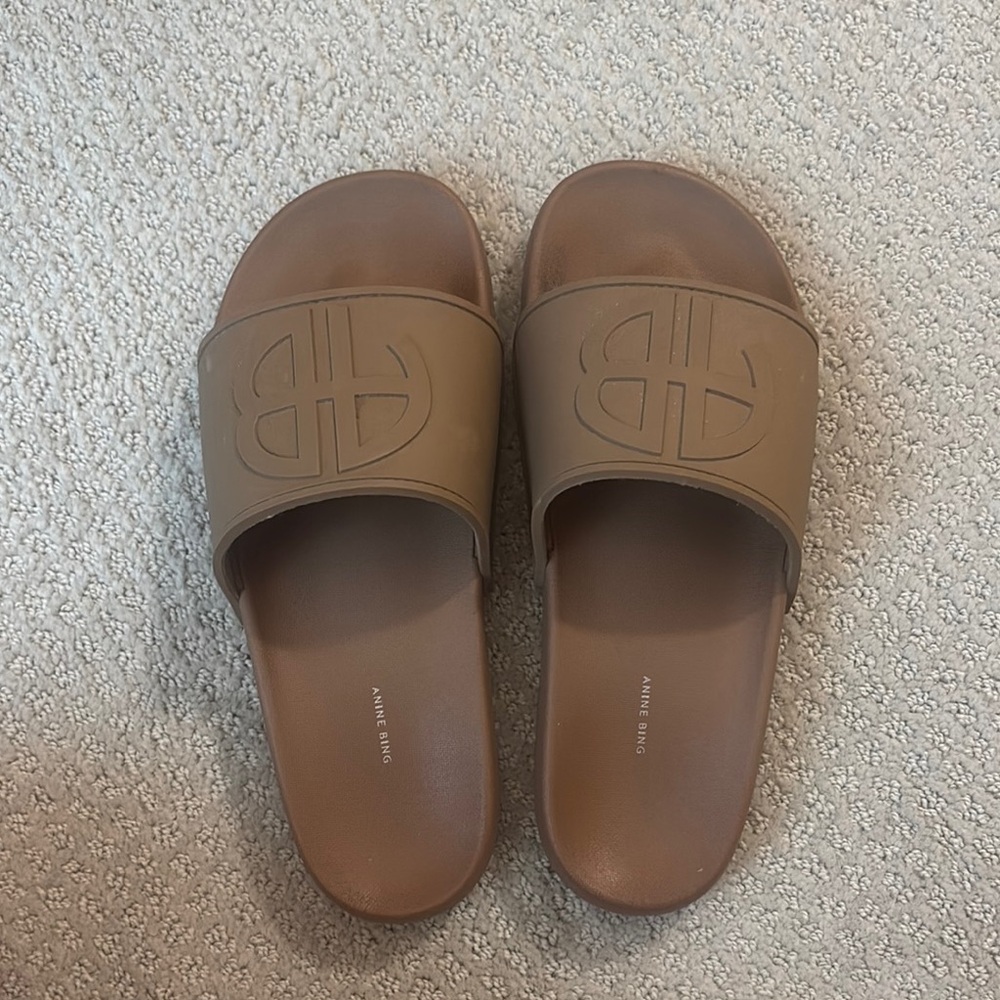 Anine Bing Tan Slides